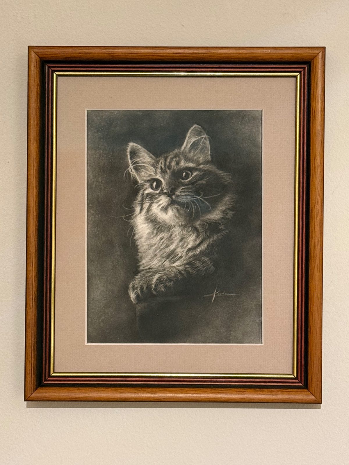Hermes von Ussenka – Sibirische Katze, black Mackerel – Foto 5