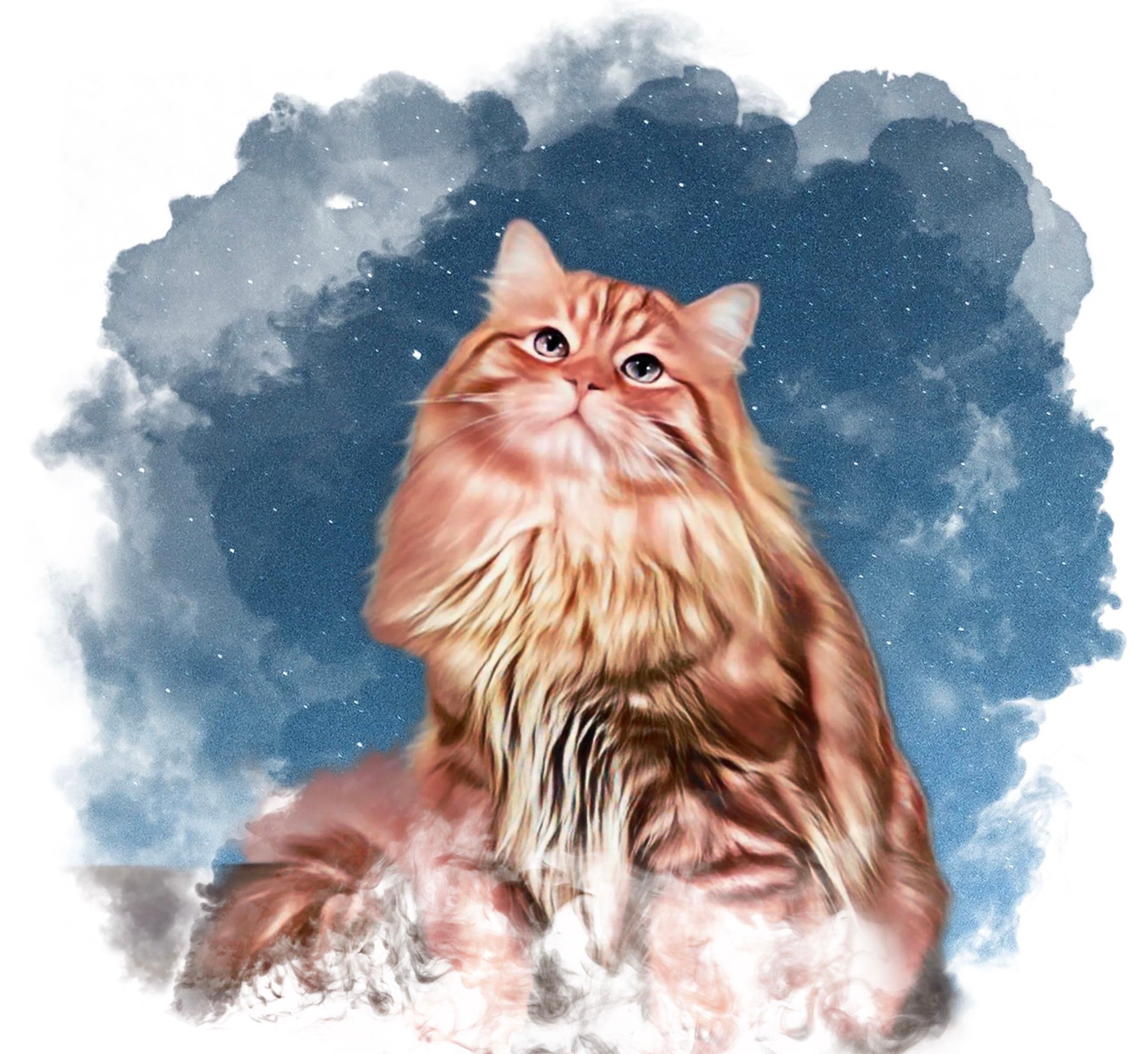 Ryurik Sladkoe Pyatnyshko – Sibirische Katze, Rot Tabby Classic – Foto 4